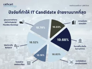 IT candidate survey
